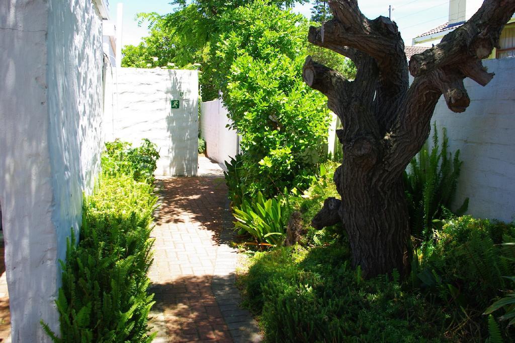Aqua Marine Guest House Πορτ Ελίζαμπεθ Εξωτερικό φωτογραφία